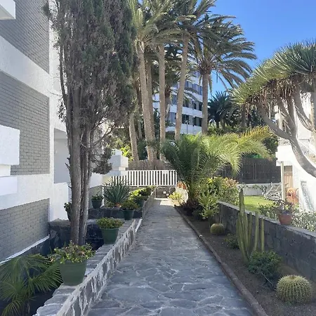 Apartmán Oasis Playa Maspalomas *